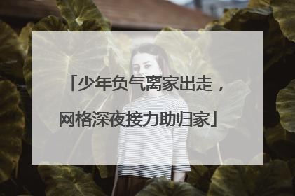 少年负气离家出走，网格深夜接力助归家