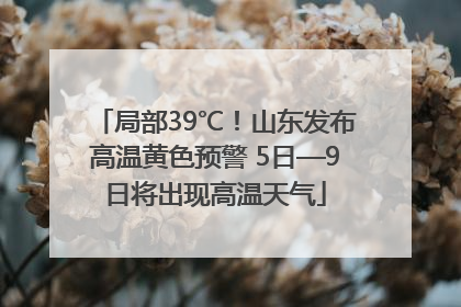 局部39℃！山东发布高温黄色预警 5日—9日将出现高温天气