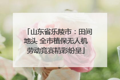 山东省乐陵市：田间地头 全市植保无人机劳动竞赛精彩纷呈
