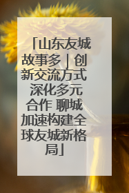 山东友城故事多｜创新交流方式 深化多元合作 聊城加速构建全球友城新格局