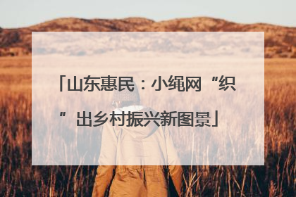 山东惠民：小绳网“织”出乡村振兴新图景