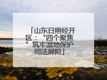 山东日照经开区：“四个聚焦”筑牢湿地保护司法屏障