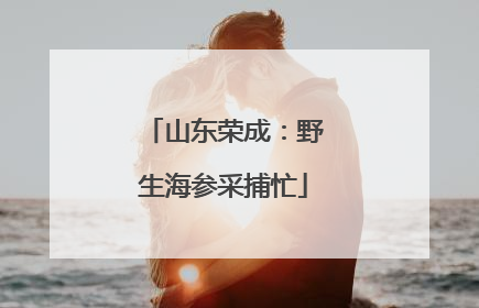 山东荣成：野生海参采捕忙