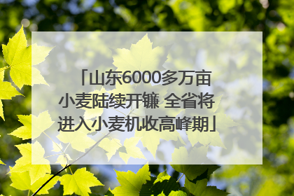 山东6000多万亩小麦陆续开镰 全省将进入小麦机收高峰期