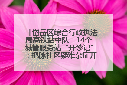 岱岳区综合行政执法局高铁站中队：14个城管服务站“开诊记”：把脉社区疑难杂症开出治理良方