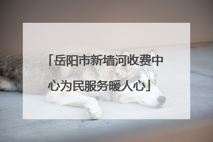 岳阳市新墙河收费中心为民服务暖人心
