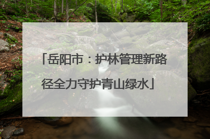 岳阳市：护林管理新路径全力守护青山绿水