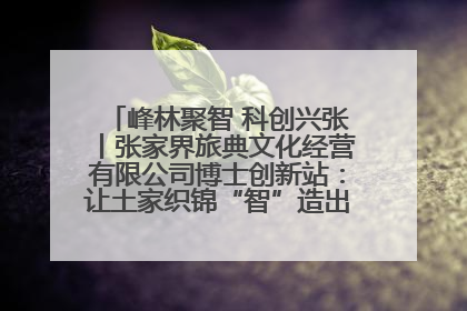 峰林聚智 科创兴张丨张家界旅典文化经营有限公司博士创新站：让土家织锦“智”造出非遗新传奇