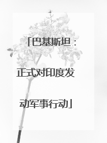 巴基斯坦：正式对印度发动军事行动