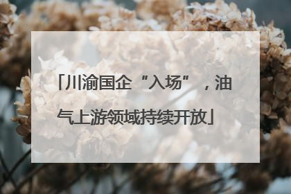 川渝国企“入场”，油气上游领域持续开放