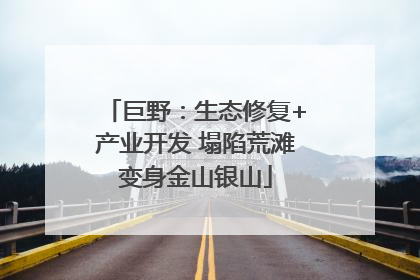 巨野：生态修复+产业开发 塌陷荒滩变身金山银山