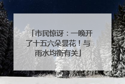 市民惊讶：一晚开了十五六朵昙花！与雨水均衡有关