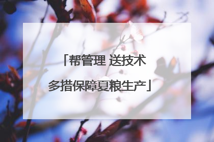帮管理 送技术 多措保障夏粮生产