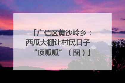 广信区黄沙岭乡：西瓜大棚让村民日子“顶呱呱”（图）