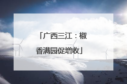 广西三江：椒香满园促增收