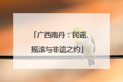 广西南丹：民谣、摇滚与非遗之约