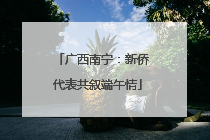 广西南宁：新侨代表共叙端午情
