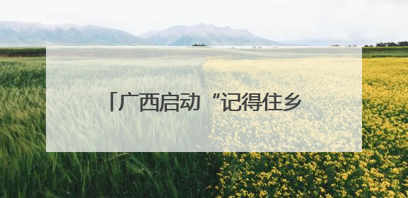 广西启动“记得住乡愁”文化外宣活动