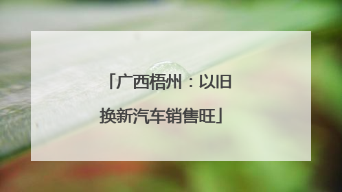 广西梧州：以旧换新汽车销售旺