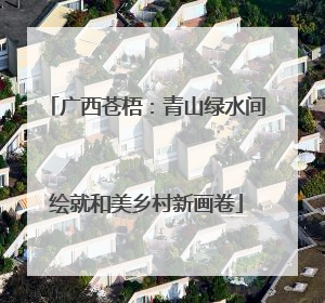 广西苍梧：青山绿水间绘就和美乡村新画卷