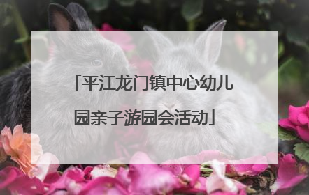 平江龙门镇中心幼儿园亲子游园会活动