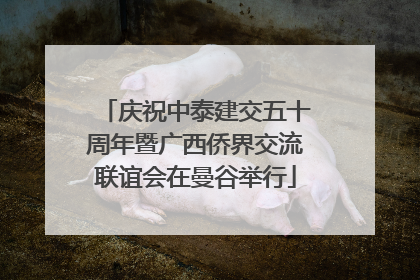 庆祝中泰建交五十周年暨广西侨界交流联谊会在曼谷举行
