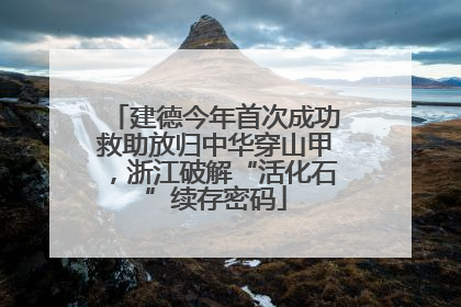 建德今年首次成功救助放归中华穿山甲，浙江破解“活化石”续存密码