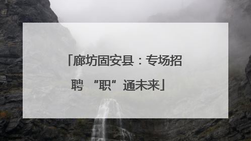 廊坊固安县：专场招聘 “职”通未来