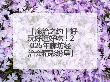 廊洽之约丨好玩好逛好吃！2025年廊坊经洽会精彩纷呈