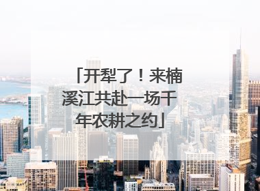 开犁了！来楠溪江共赴一场千年农耕之约