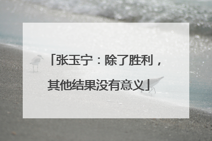张玉宁：除了胜利，其他结果没有意义