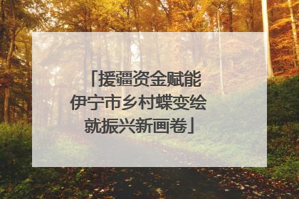 援疆资金赋能 伊宁市乡村蝶变绘就振兴新画卷