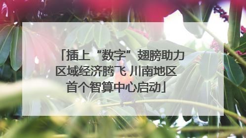 插上“数字”翅膀助力区域经济腾飞 川南地区首个智算中心启动