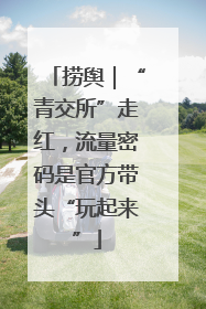 捞舆｜“青交所”走红，流量密码是官方带头“玩起来”