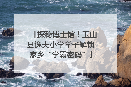 探秘博士馆！玉山县逸夫小学学子解锁家乡“学霸密码”