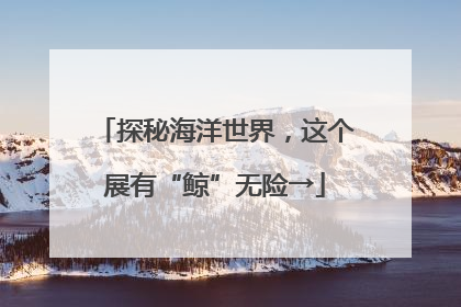 探秘海洋世界，这个展有“鲸”无险→