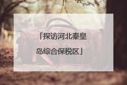 探访河北秦皇岛综合保税区