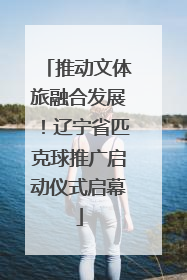 推动文体旅融合发展！辽宁省匹克球推广启动仪式启幕
