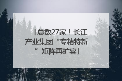 总数27家！长江产业集团“专精特新”矩阵再扩容