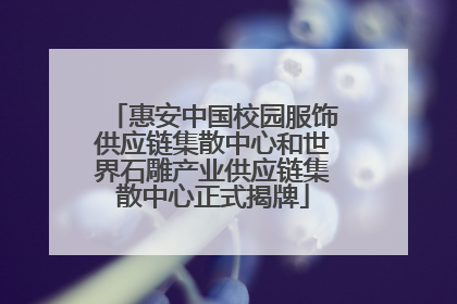 惠安中国校园服饰供应链集散中心和世界石雕产业供应链集散中心正式揭牌
