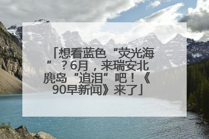 想看蓝色“荧光海”？6月，来瑞安北麂岛“追泪”吧！《90早新闻》来了