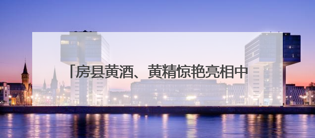 房县黄酒、黄精惊艳亮相中国国际文化产业博览交易会