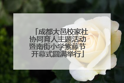成都大邑校家社协同育人主题活动暨南街小学紫藤节开幕式圆满举行