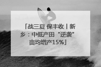 战三夏 保丰收丨新乡：中低产田“逆袭” 亩均增产15%