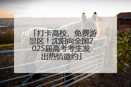 打卡高校、免费游景区！沈阳向全国2025届高考考生发出热情邀约