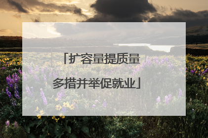 扩容量提质量 多措并举促就业