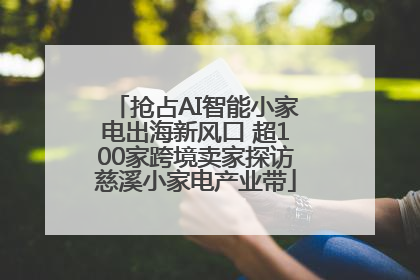 抢占AI智能小家电出海新风口 超100家跨境卖家探访慈溪小家电产业带