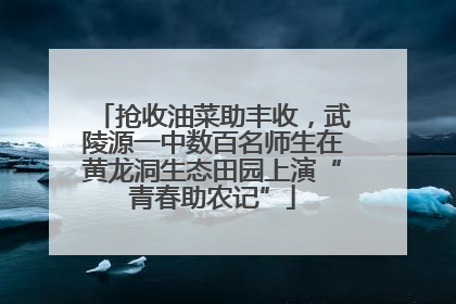 抢收油菜助丰收，武陵源一中数百名师生在黄龙洞生态田园上演“青春助农记”