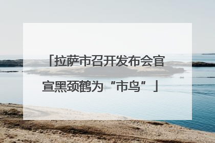 拉萨市召开发布会官宣黑颈鹤为“市鸟”