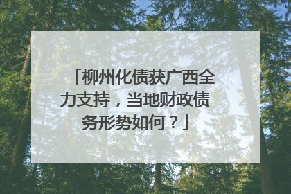 柳州化债获广西全力支持，当地财政债务形势如何？